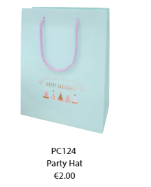 Carry Bag Birthday Hat