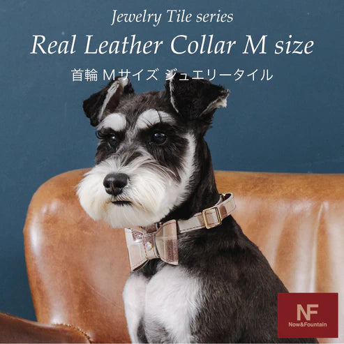 Collar M size 2024 limited model Tile-LATTE