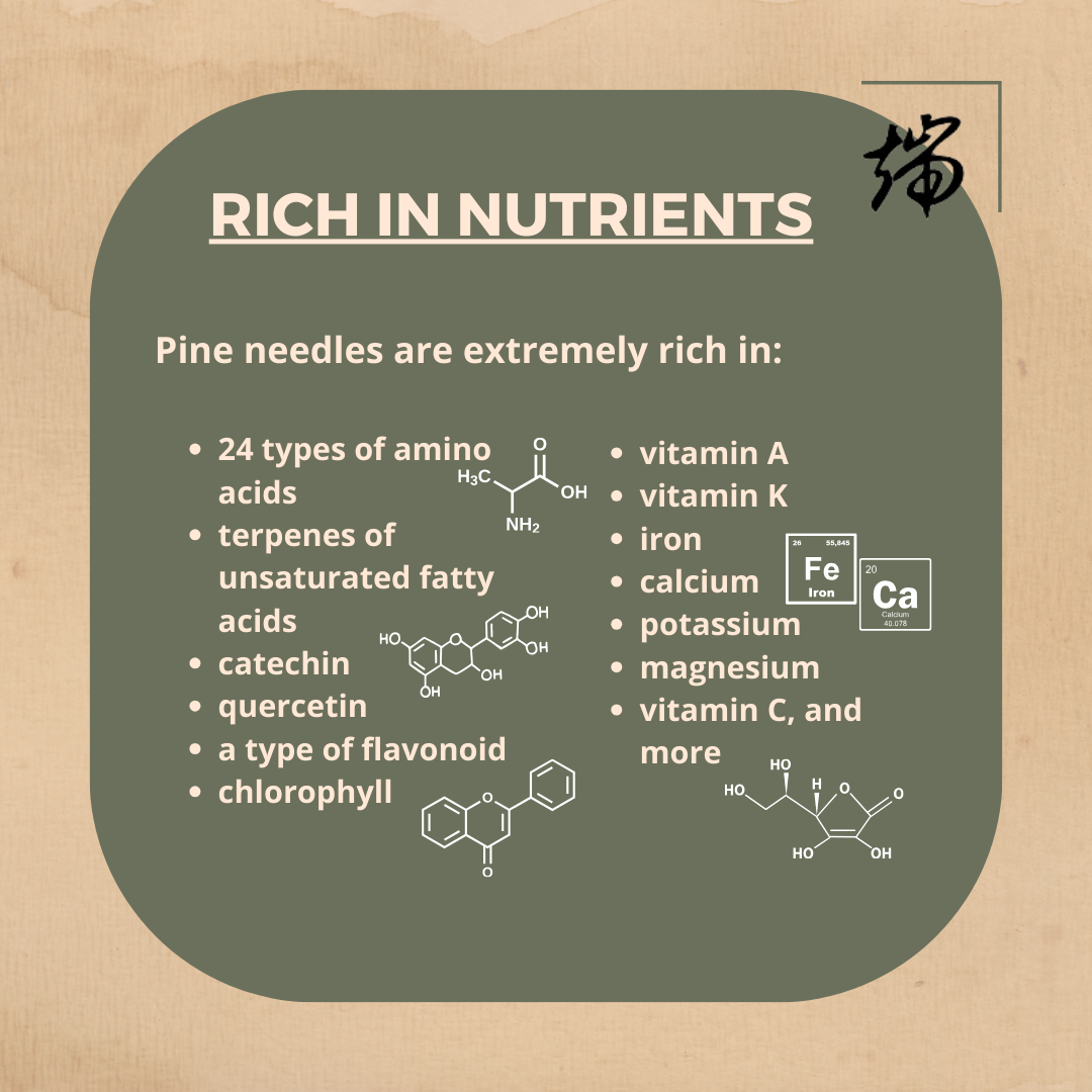 The Pine needle Extract Capsule