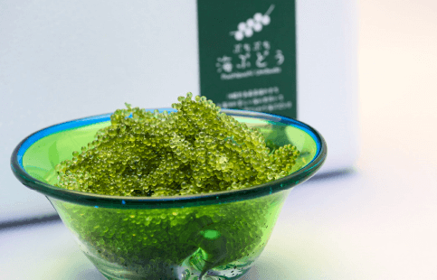 Umibudo (green caviar)