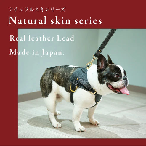 Leash A type Natural Skin