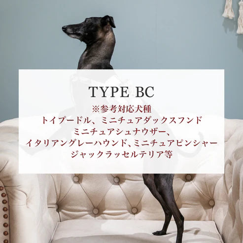 Leash BC type Natural Skin