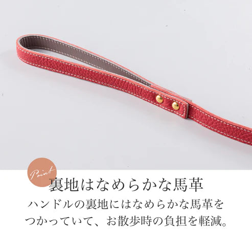 Leash BC type Natural Skin